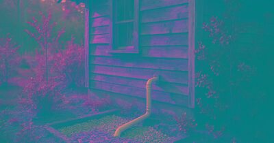 Greywater basics for an off-grid cabin or homestead
