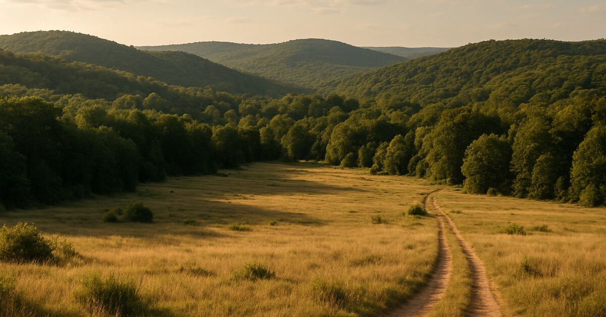 Mineral, timber, and surface rights: what you're really buying with raw land