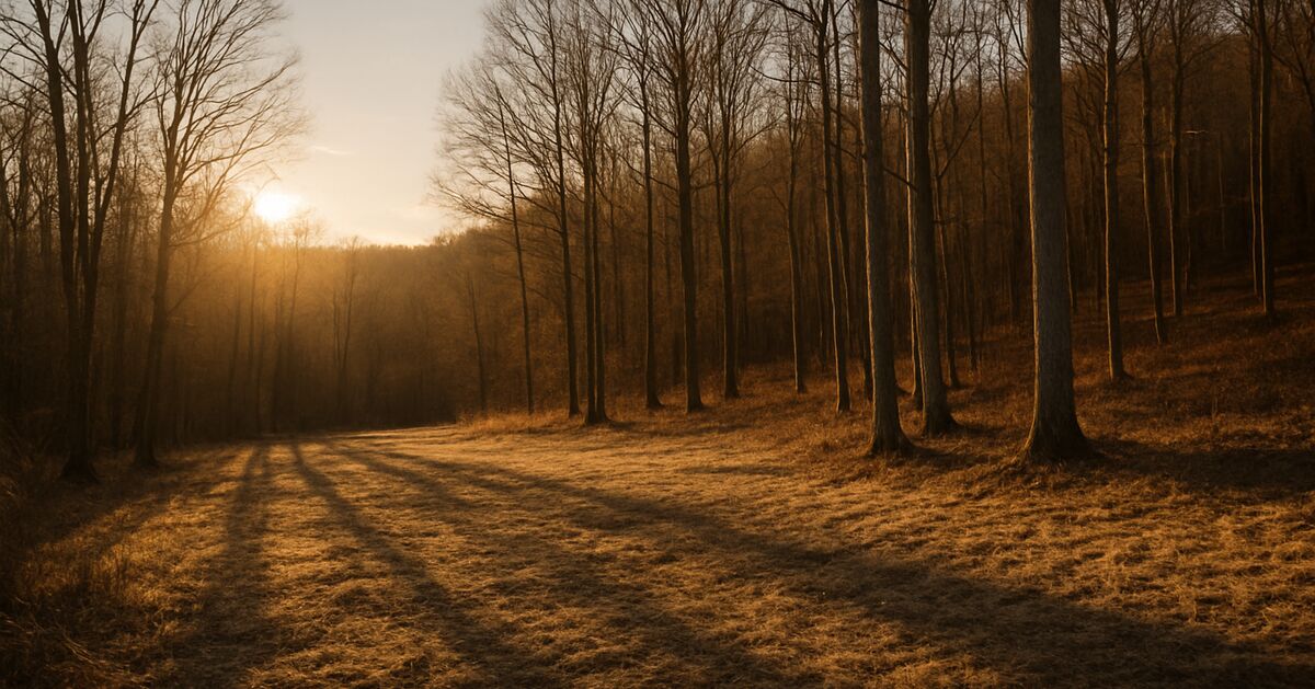 Solar exposure and slope: reading a parcel's sun before you buy it