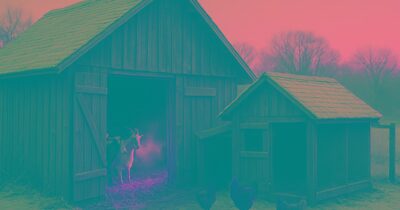 Winterizing livestock housing: keeping animals healthy without power or heat lamps